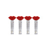 Kiss Forever Lipgloss Διάφανο